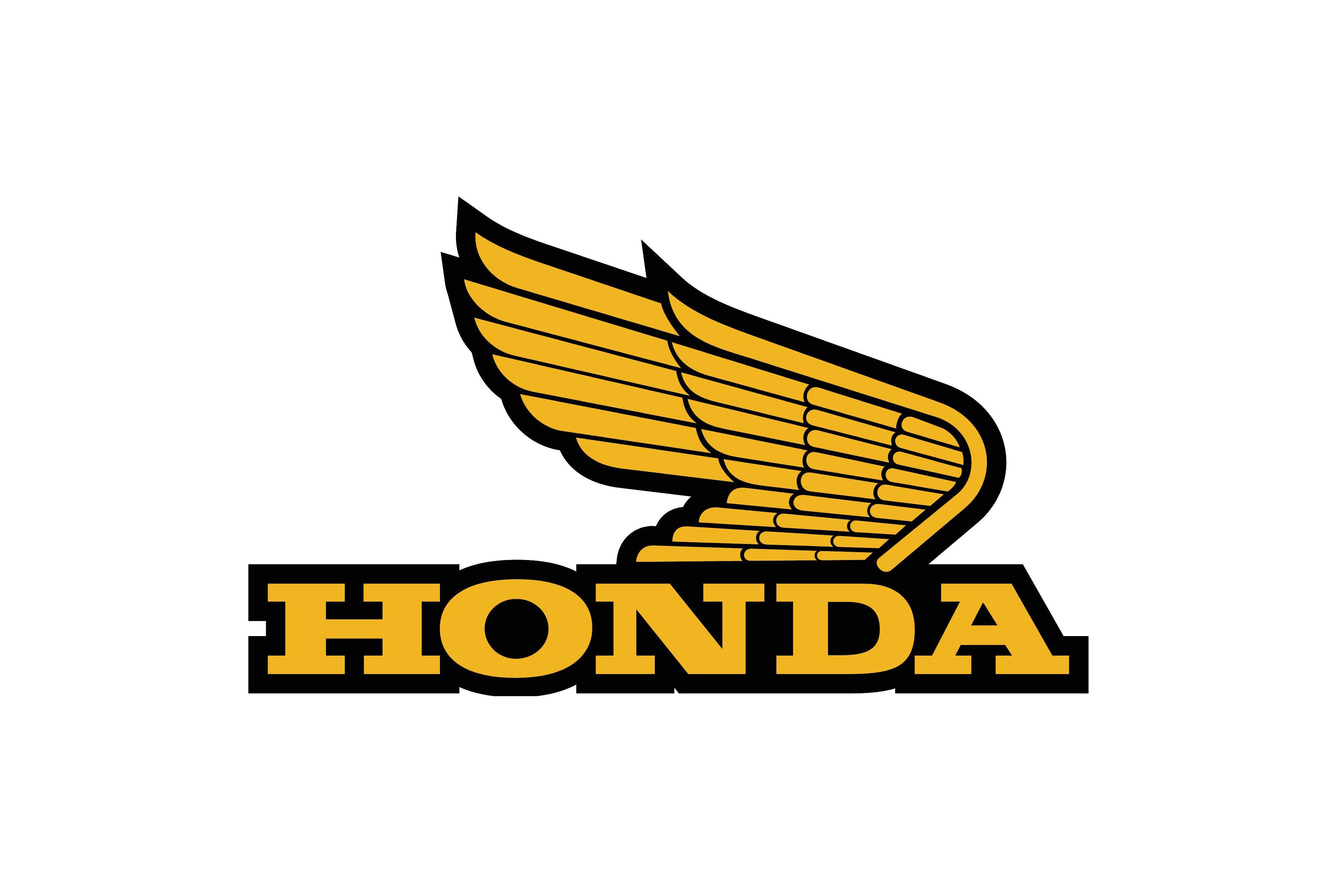honda gold wing log